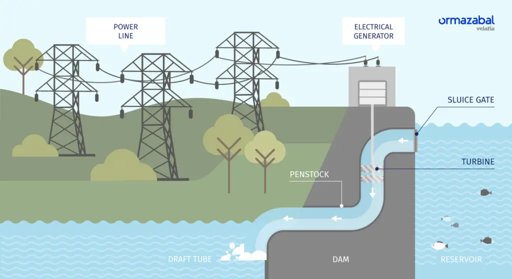 What Do Hydro Plants Do: Harnessing Renewable Energy