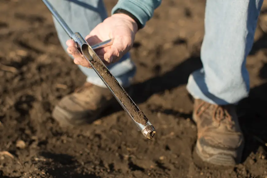 What Soil Sampling Reveals: Boost Your Crop Yield Today