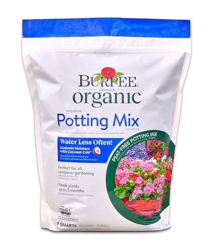 What Type of Soil for Vegetable Garden: Best Organic Potting Mix