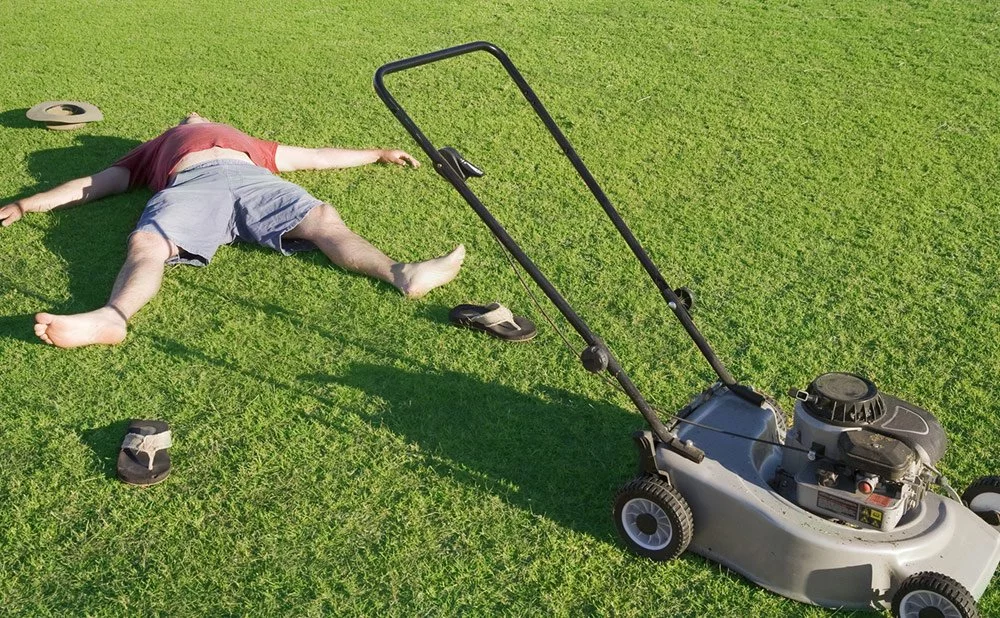 When is Best Time to Start Mowing Lawn: Expert Tips & Timing