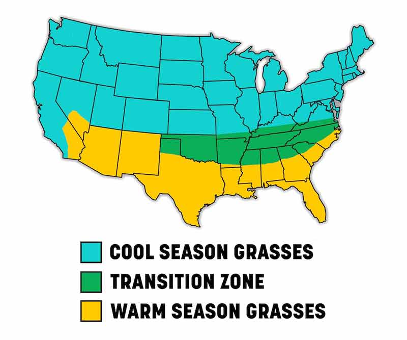 When is the Best Time to Plant Grass Seed