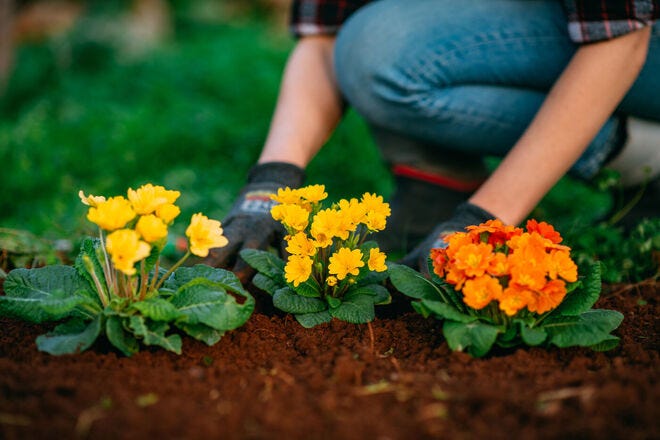 When is the Best Time to Rototill Garden: Expert Tips & Timing