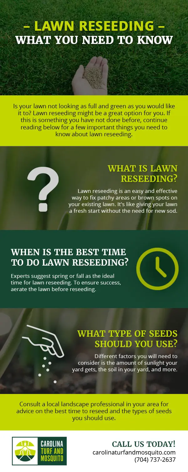 When is the Best Time to Start a Lawn Care Business: Expert Tips