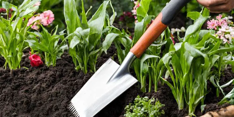 Best Way to Clean Gardening Tools: Expert Tips for Longevity