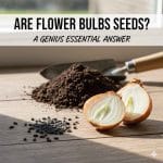 Are Flower Bulbs Seeds