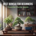 Best Bonsai For Beginners: