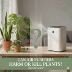 Can Air Purifiers Harm or Kill Plants