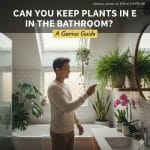 Can You Keep Plants in the Bathroom
