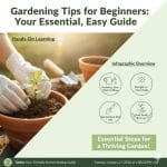 Gardening Tips for Beginners