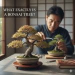 How Do Bonsai Trees Grow