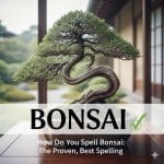 How Do You Spell Bonsai