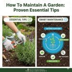 How To Maintain A Garden