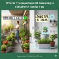 What Is The Importance Of Gardening In Containers