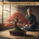 What Is The Significance Of The Bonsai Tree