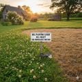 Will Planting Clover Kill Grass