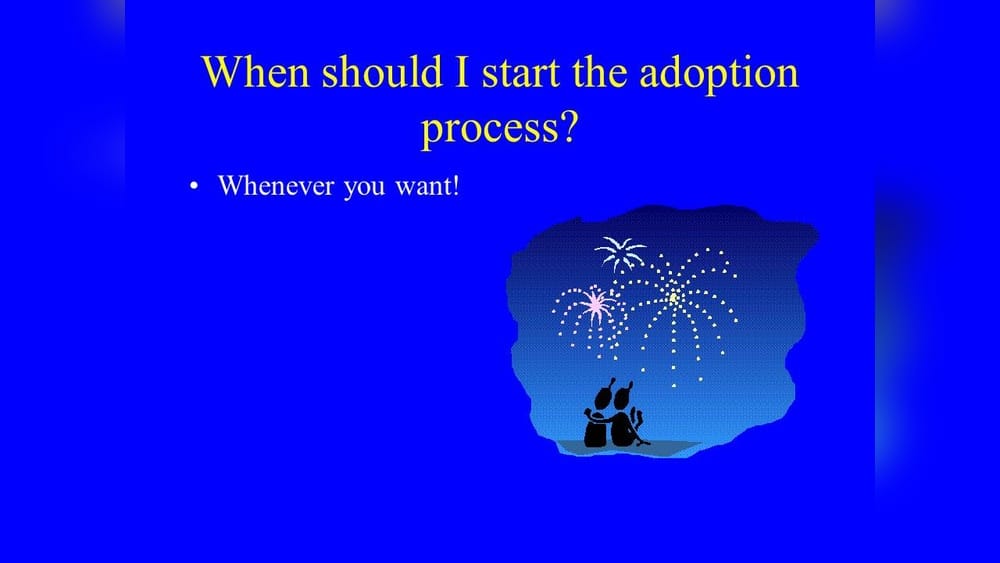 When Should I Start the Adoption Process