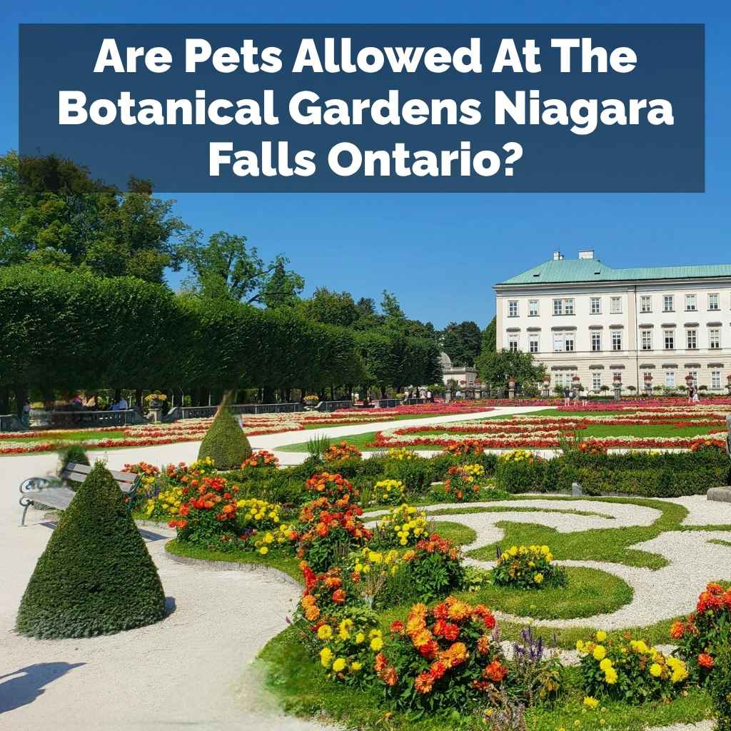 Are Pets Allowed At The Botanical Gardens Niagara Falls Ontario?
