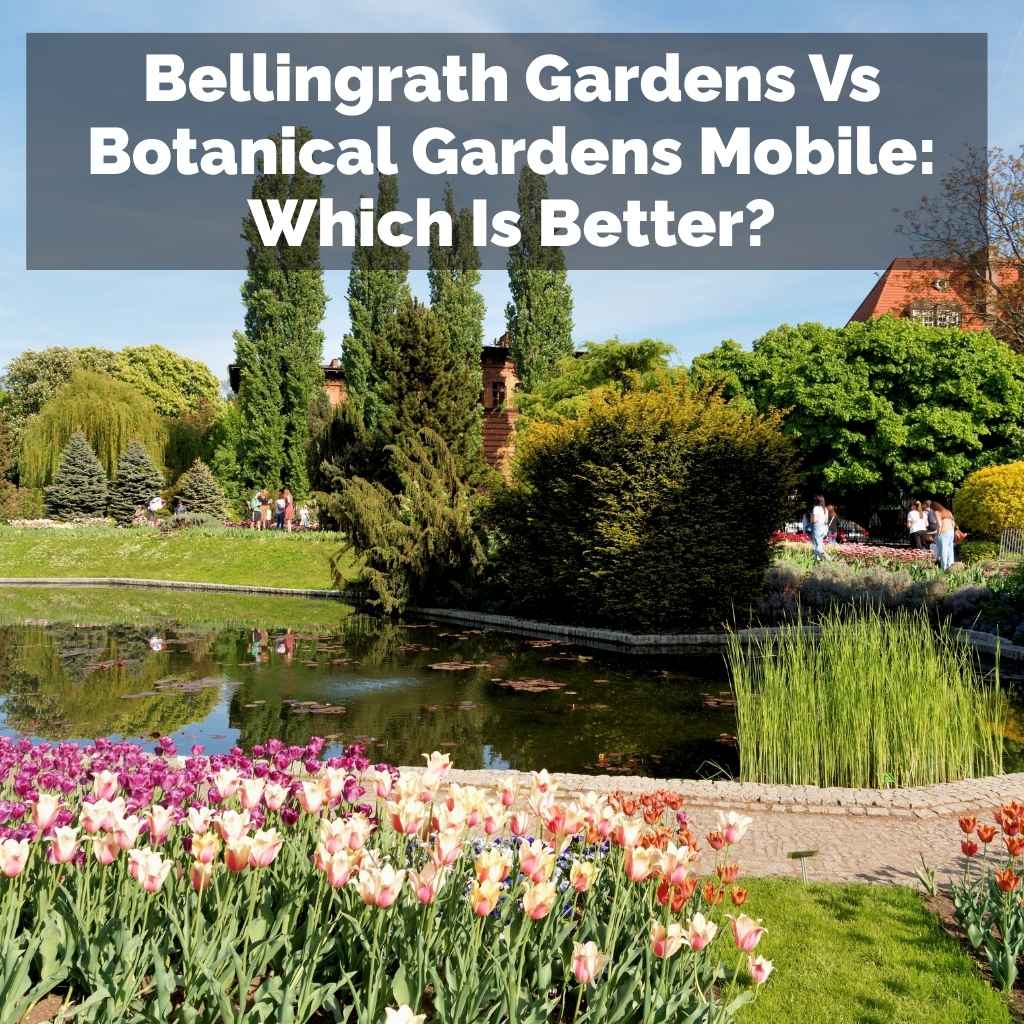 Bellingrath Gardens Vs Botanical Gardens Mobile