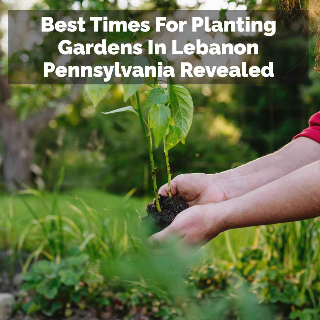 Best Times For Planting Gardens In Lebanon Pennsylvania Revealed