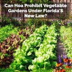 Can Hoa Prohibit Vegetable Gardens Under Florida'S New Law?