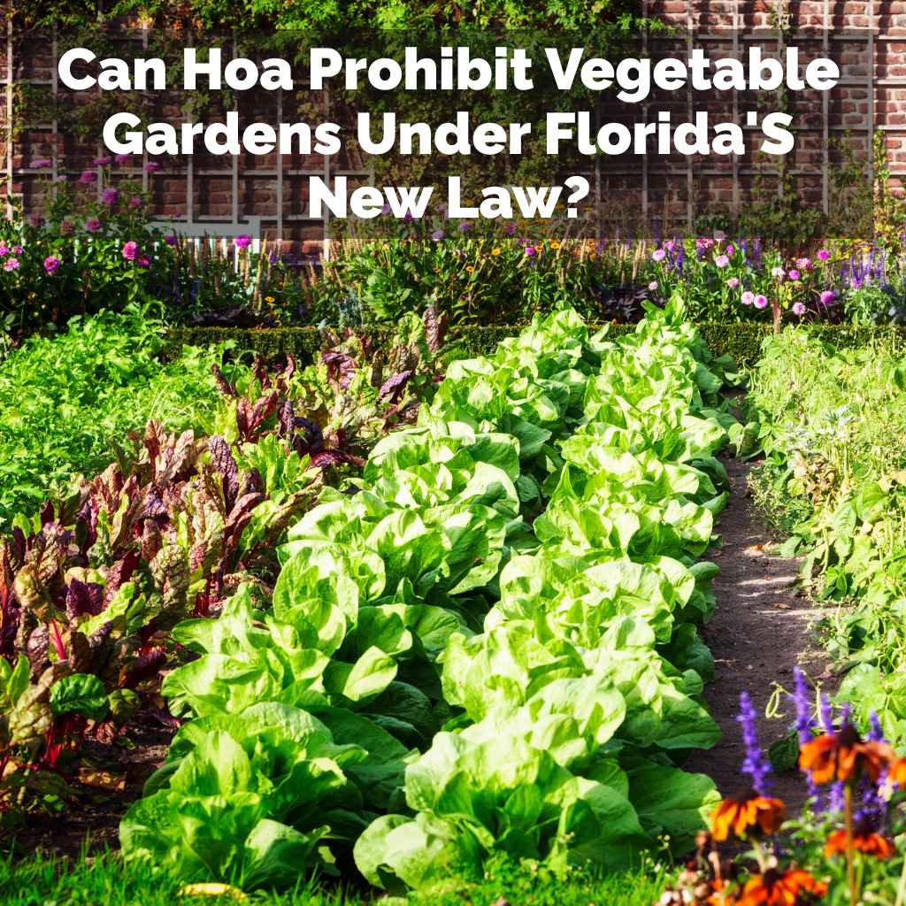 Can Hoa Prohibit Vegetable Gardens Under Florida'S New Law?