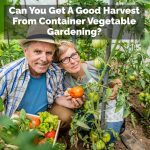 Can You Get A Good Harvest From Container Vegetable Gardening?