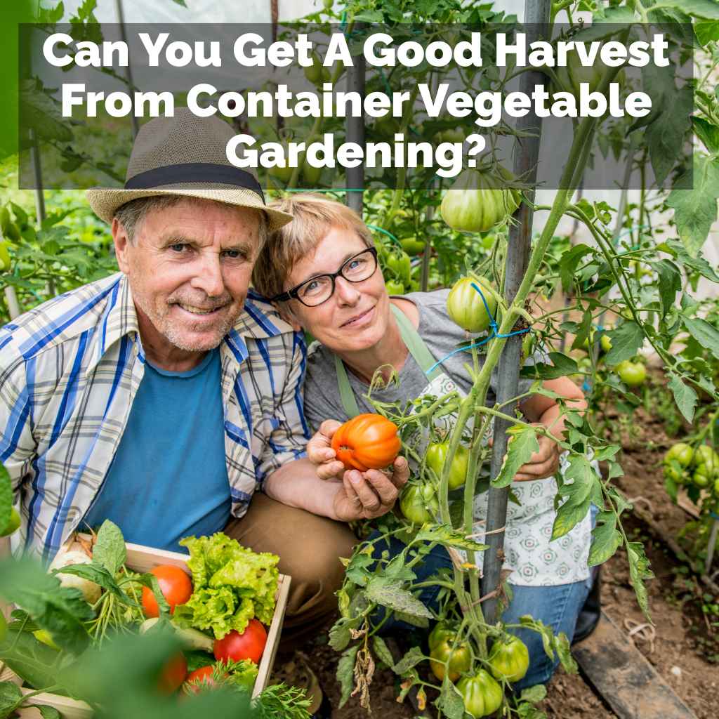 Can You Get A Good Harvest From Container Vegetable Gardening?