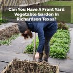 Can You Have A Front Yard Vegetable Garden In Richardson Texas?