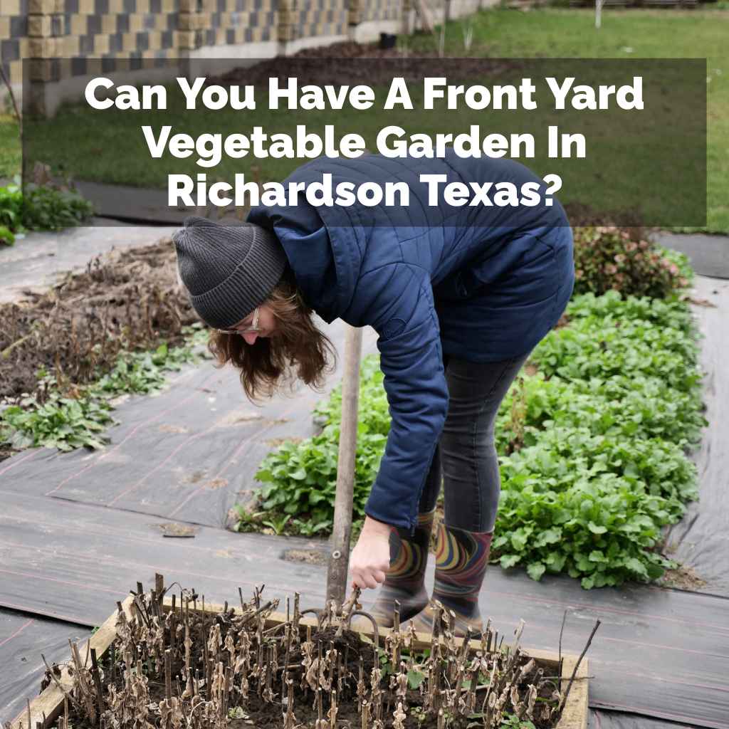 Can You Have A Front Yard Vegetable Garden In Richardson Texas?
