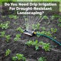 Do You Need Drip Irrigation For Drought