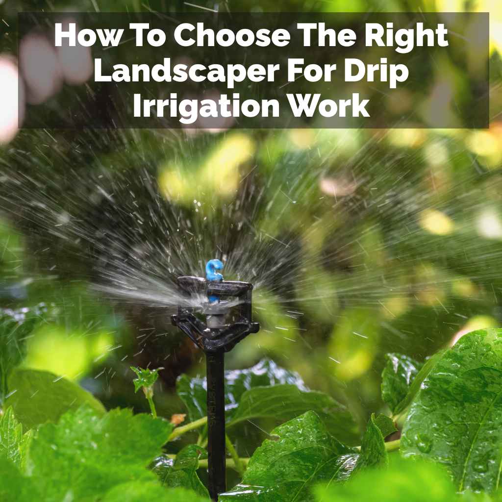 How To Choose The Right Landscaper For Drip Irrigation Work