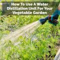 How To Use A Water Distillation Unit For Your Vegetable Garden