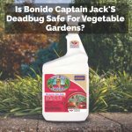 Is Bonide Captain Jack'S Deadbug Safe For Vegetable Gardens