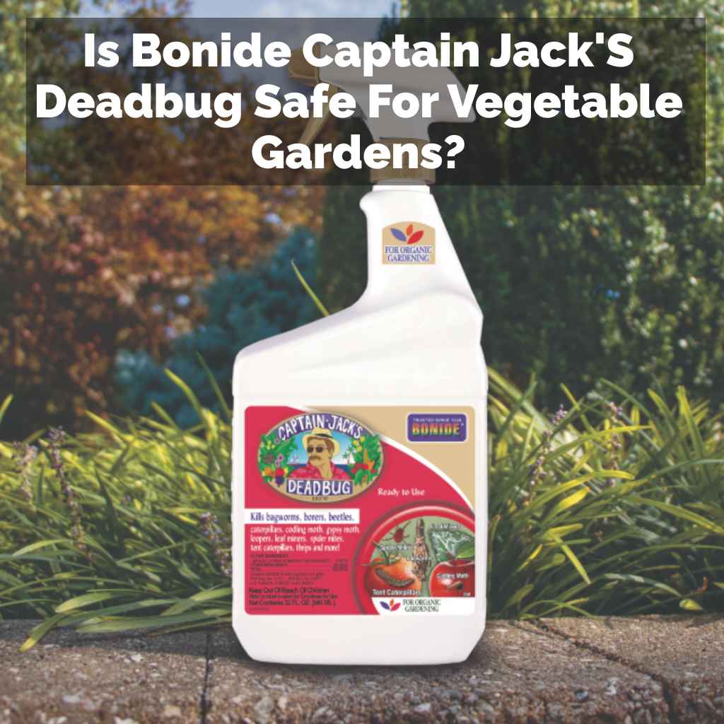 Is Bonide Captain Jack'S Deadbug Safe For Vegetable Gardens