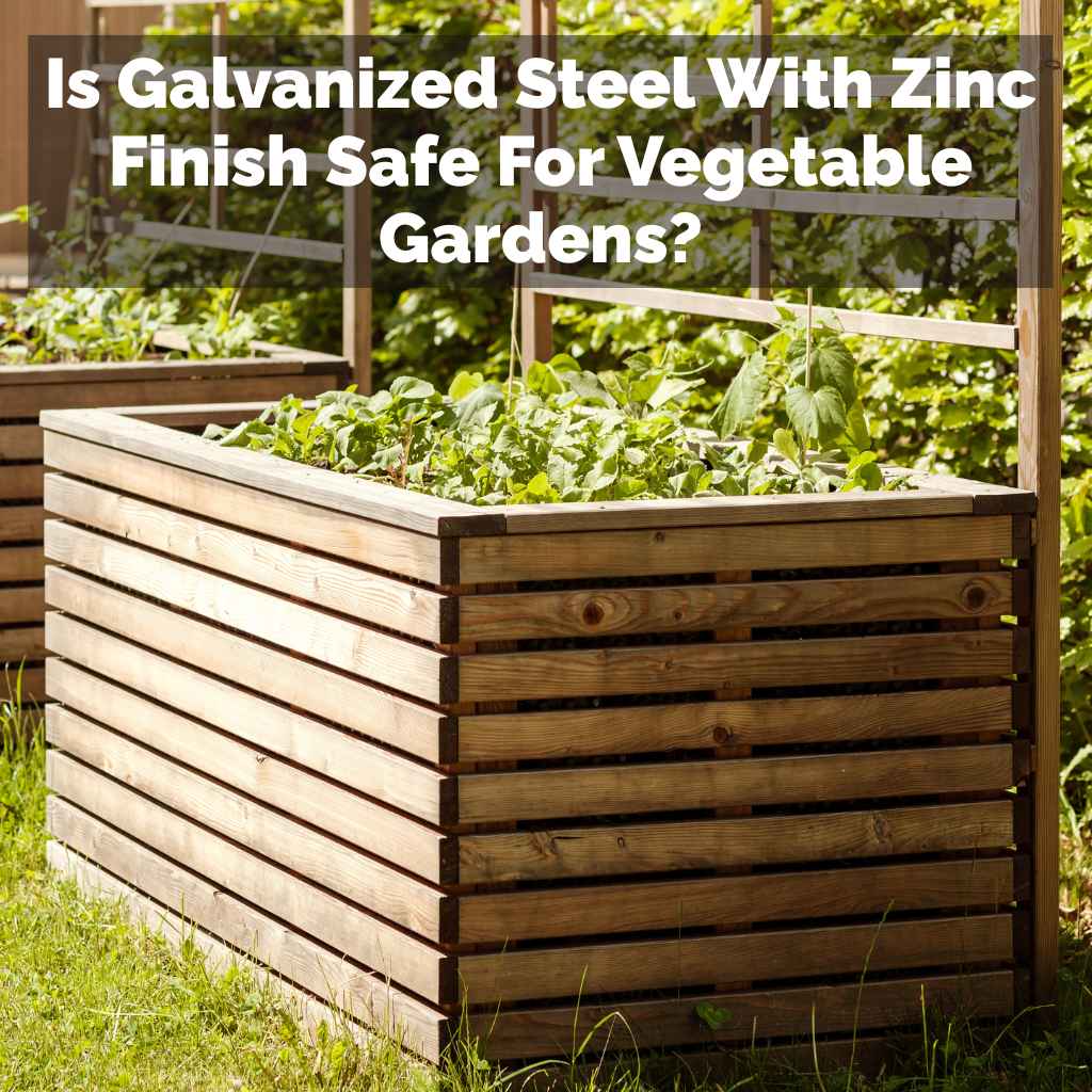 Is Galvanized Steel With Zinc Finish Safe For Vegetable Gardens