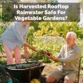 Is Harvested Rooftop Rainwater Safe For Vegetable Gardens?