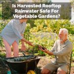 Is Harvested Rooftop Rainwater Safe For Vegetable Gardens?