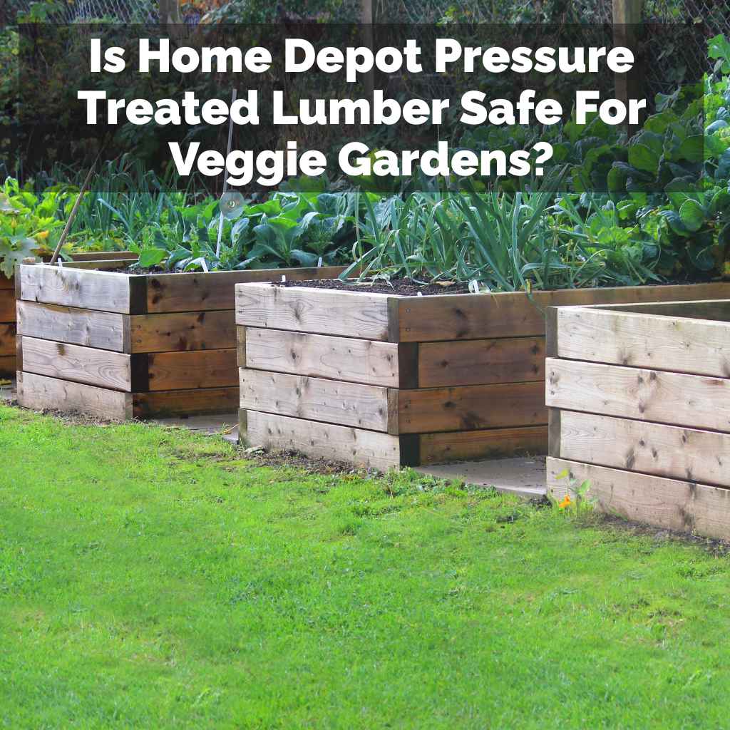 Is Home Depot Pressure Treated Lumber Safe For Veggie Gardens?