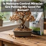Is Moisture Control Miracle-Gro Potting Mix Good For Bonsai?