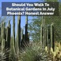 Should You Walk To Botanical Gardens In July Phoenix