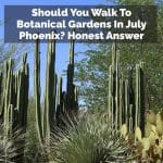 Should You Walk To Botanical Gardens In July Phoenix