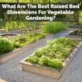 What Are The Best Raised Bed Dimensions For Vegetable Gardening