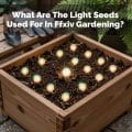 What Are The Light Seeds Used For In Ffxiv Gardening