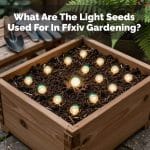 What Are The Light Seeds Used For In Ffxiv Gardening