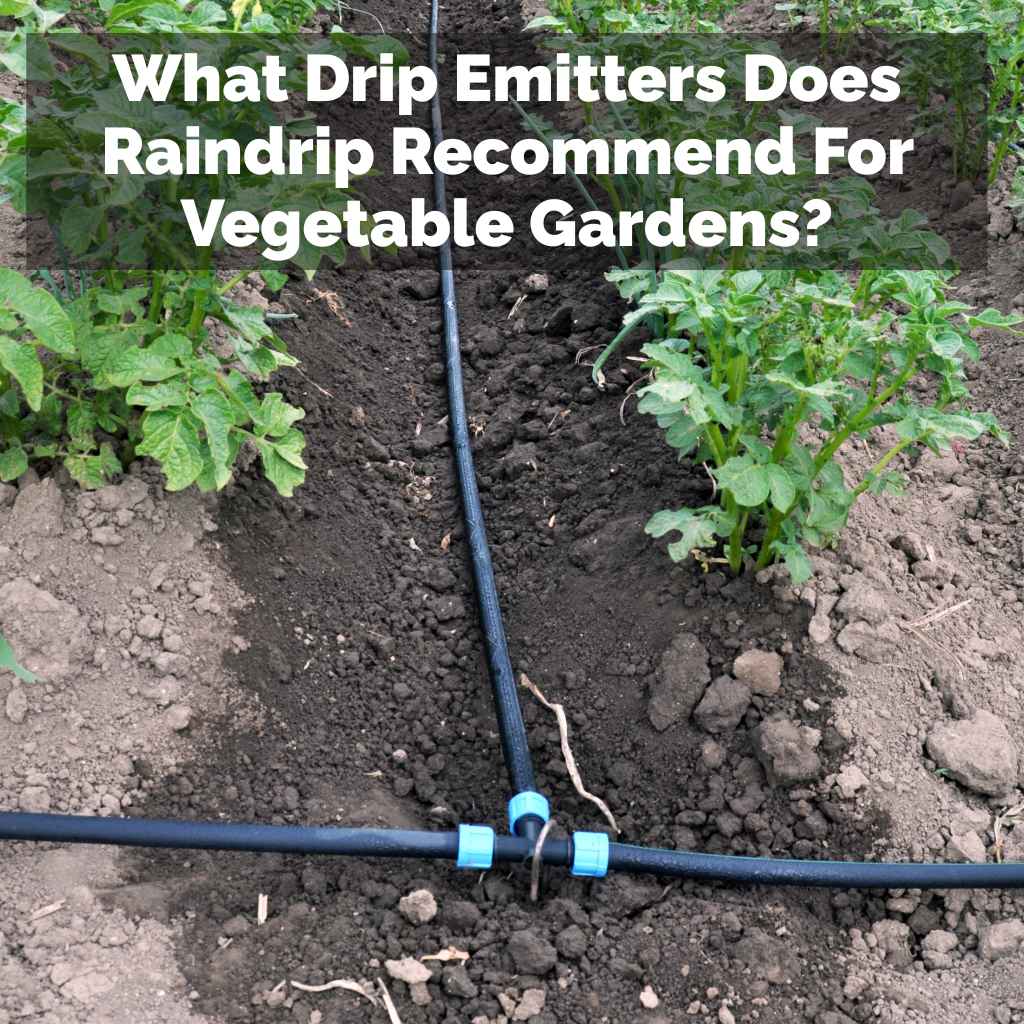 What Drip Emitters Does Raindrip Recommend For Vegetable Gardens?