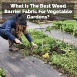What Is The Best Weed Barrier Fabric For Vegetable Gardens?