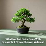 What Neutral Color Goes With Bonsai Tint Green Sherwin Williams?