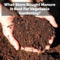 What Store Bought Manure Is Best For Vegetable Gardening?