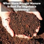 What Store Bought Manure Is Best For Vegetable Gardening?