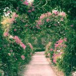 When Does The Butterfly Exhibit Happen At Scottsdale Botanical Gardens